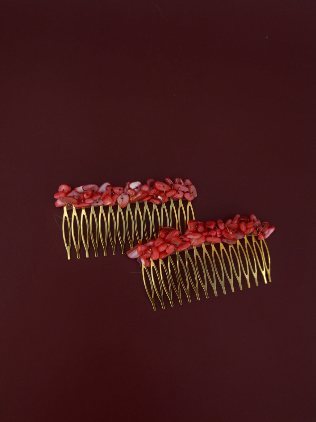 Peinecillo piedras coral