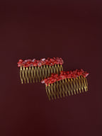 Peinecillo piedras coral