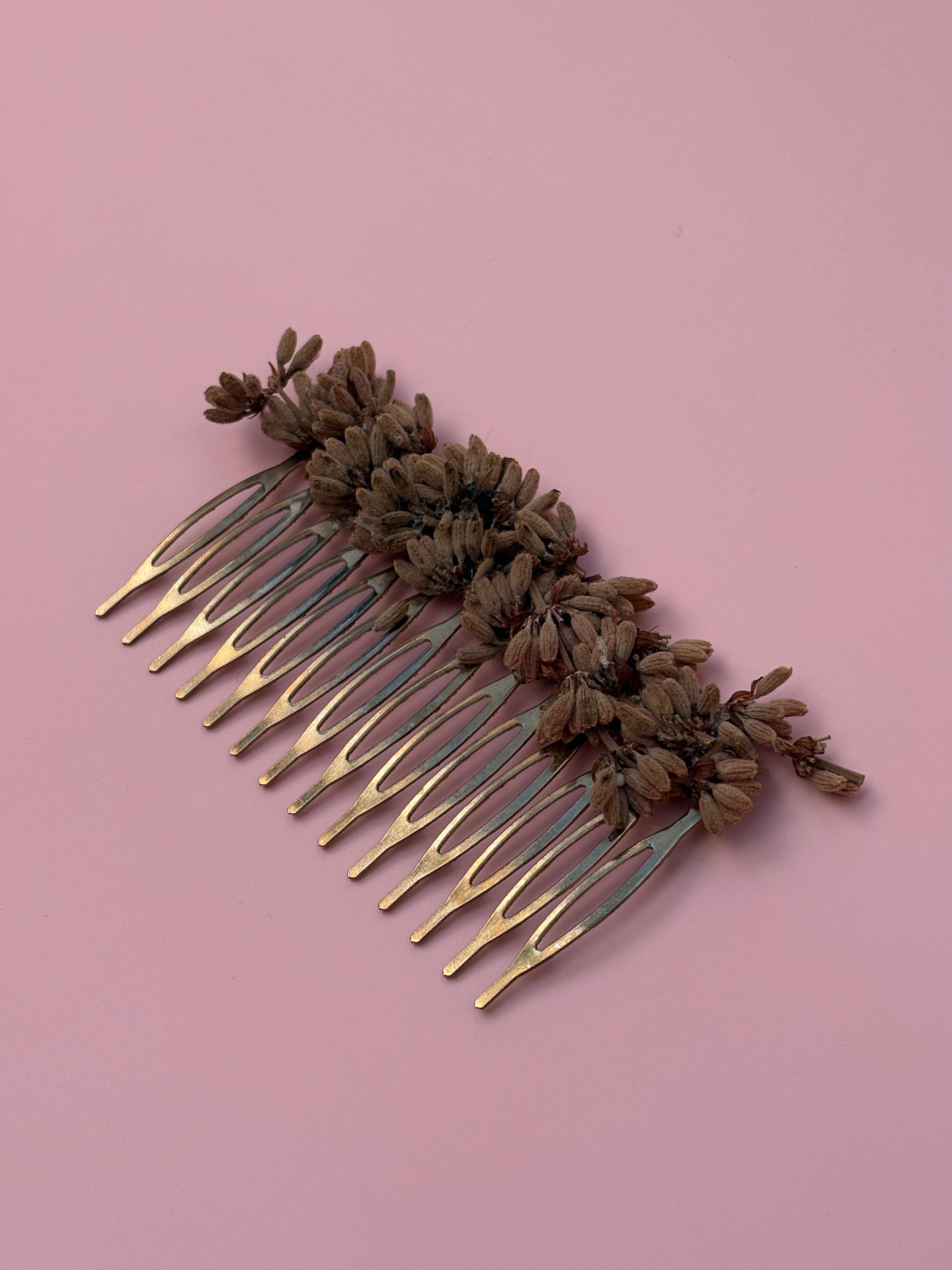 Peinecillo flores preservadas